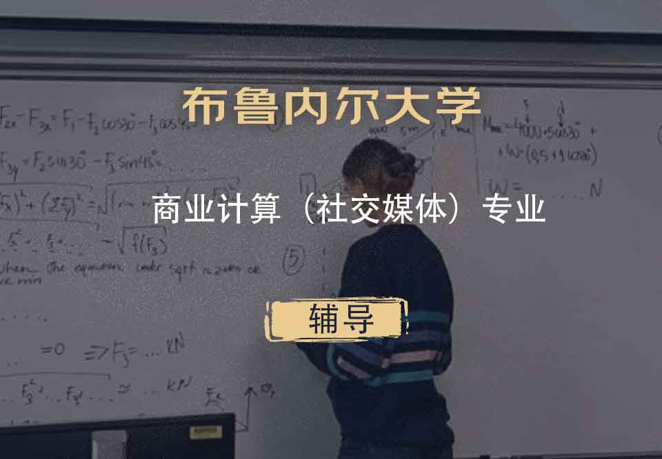 布鲁内尔大学Brunel商业计算（社交媒体）辅导