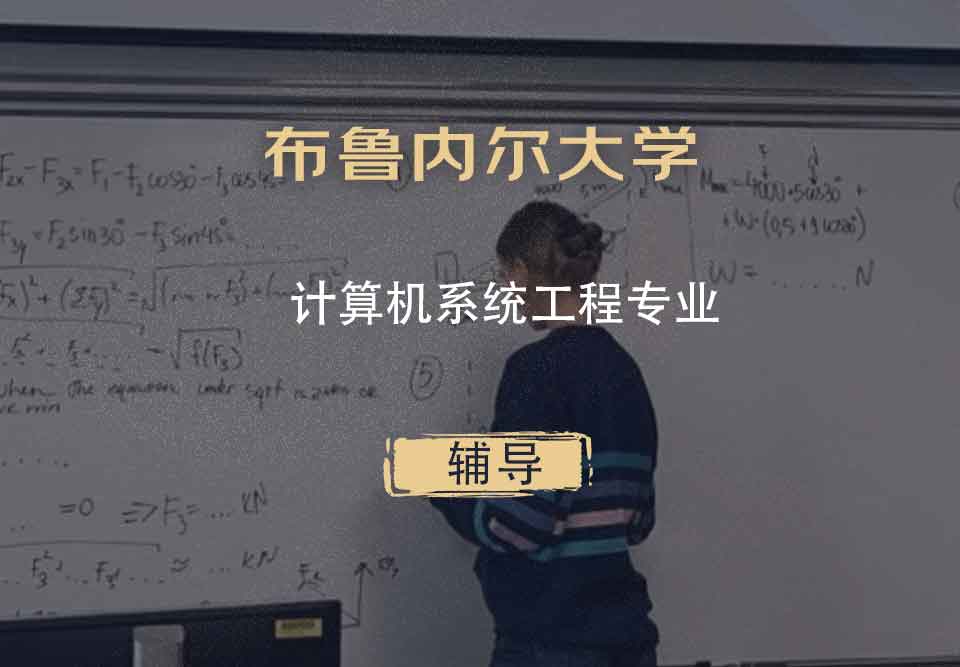 布鲁内尔大学Brunel计算机系统工程辅导