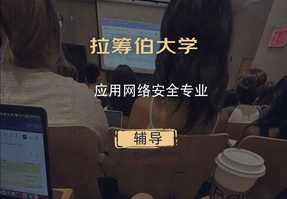 拉筹伯大学LTU应用网络安全辅导