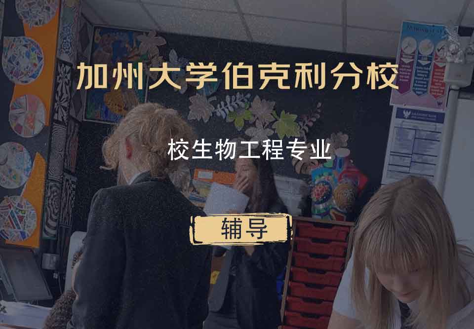 加州大学伯克利分校UCB校生物工程辅导
