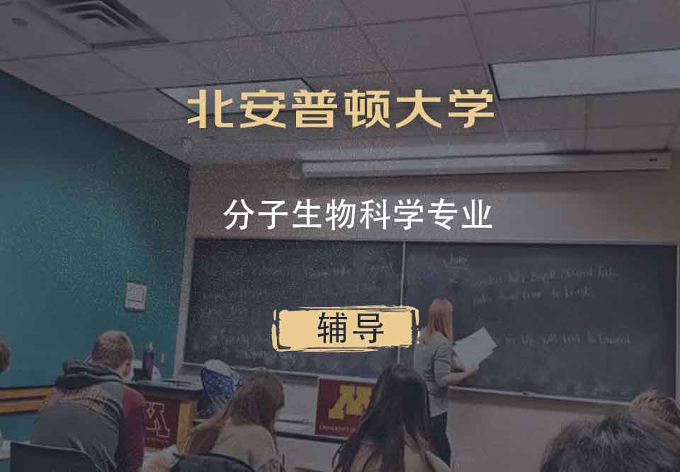北安普顿大学分子生物科学辅导