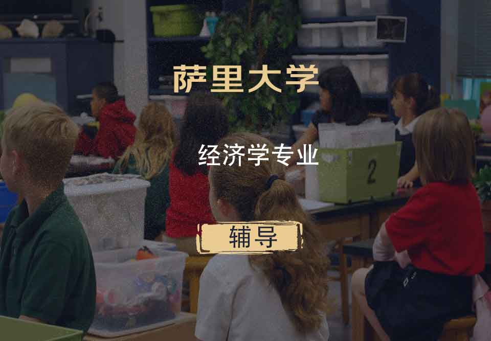 萨里大学Surrey经济学辅导