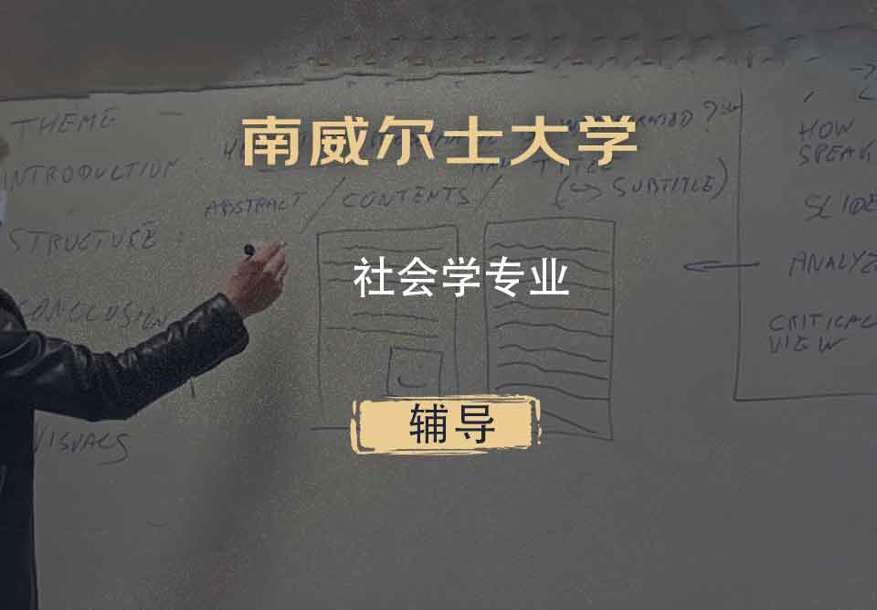 南威尔士大学社会学辅导