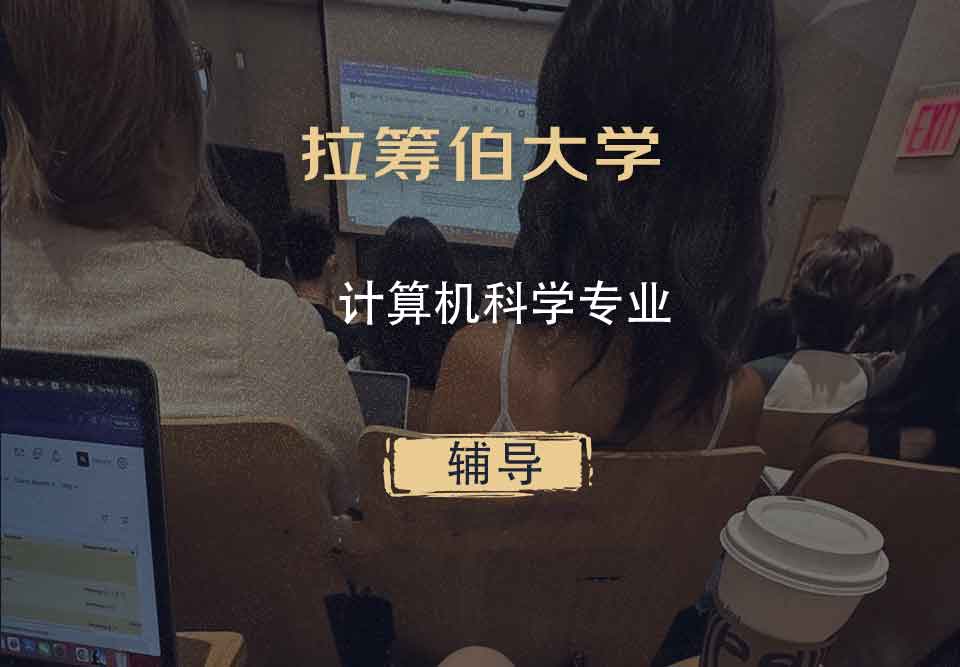 拉筹伯大学LTU计算机科学辅导