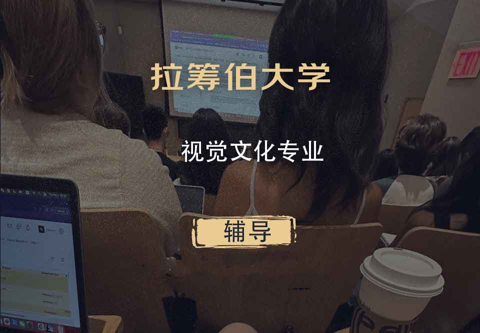 拉筹伯大学LTU视觉文化辅导