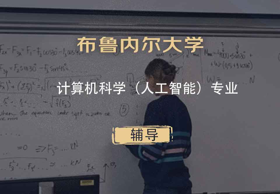 布鲁内尔大学Brunel计算机科学（人工智能）辅导