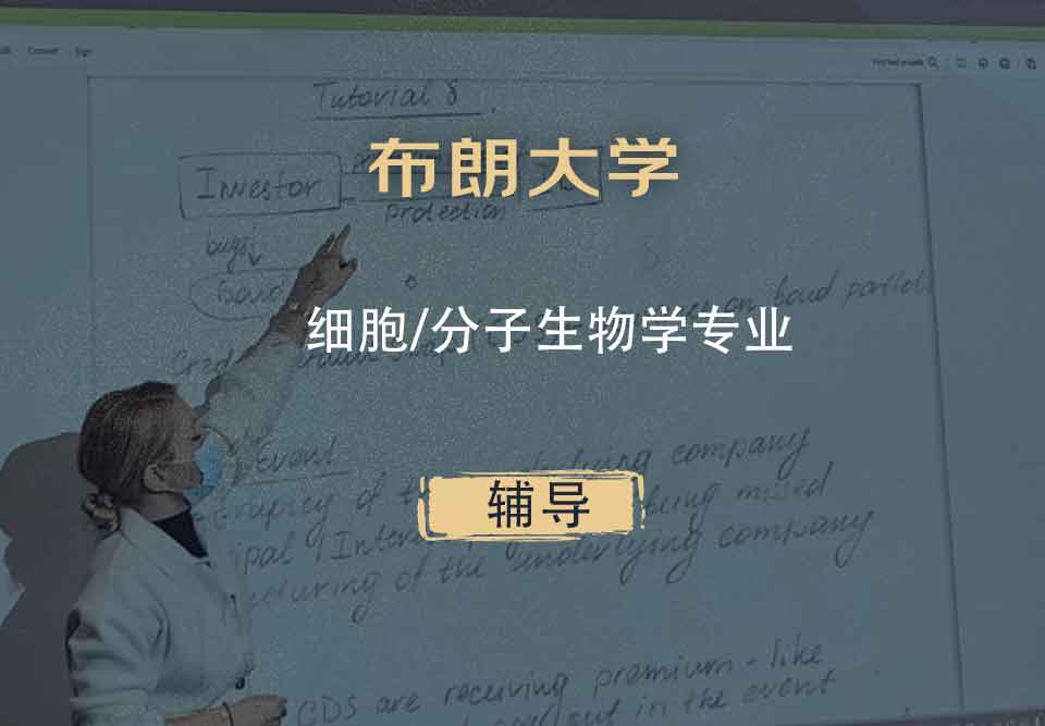 布朗大学Brown细胞分子生物学辅导