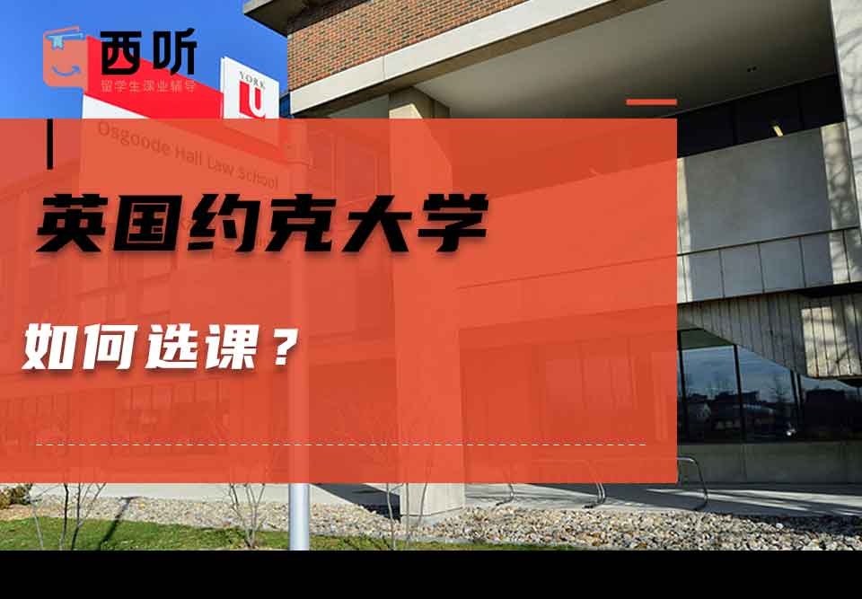 英国约克大学如何选课？