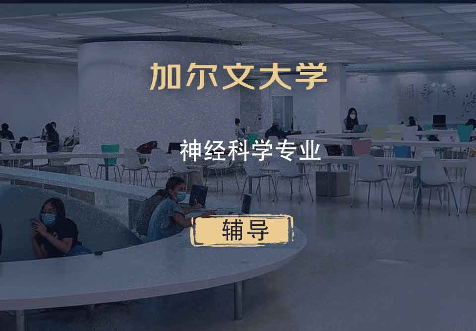 加尔文大学神经科学辅导