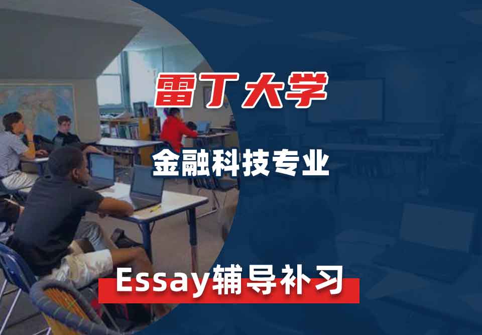 雷丁大学UR金融科技Essay辅导补习补课
