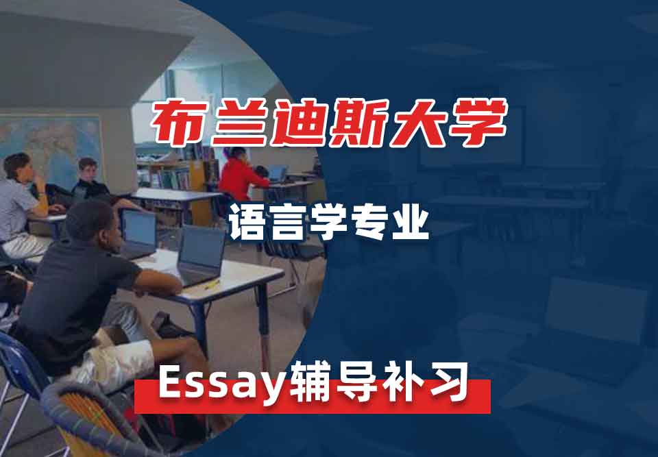 布兰迪斯大学语言学Essay辅导补习补课