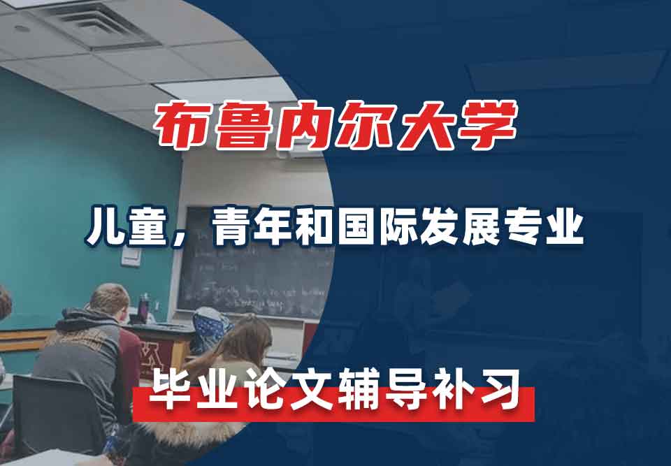布鲁内尔大学Brunel儿童，青年和国际发展毕业论文辅导补习补课