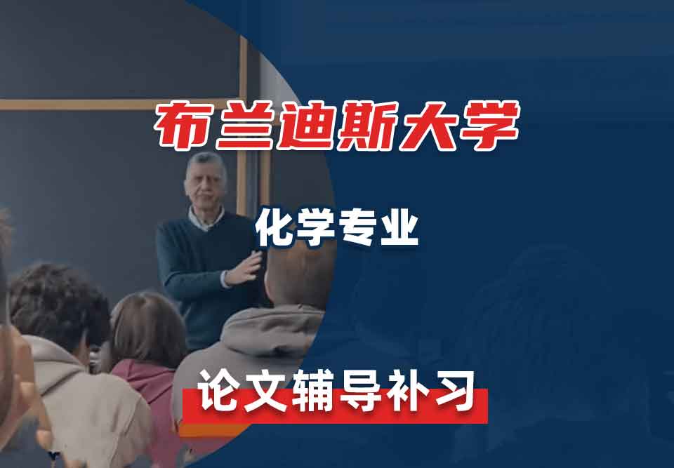 布兰迪斯大学化学论文辅导补习补课