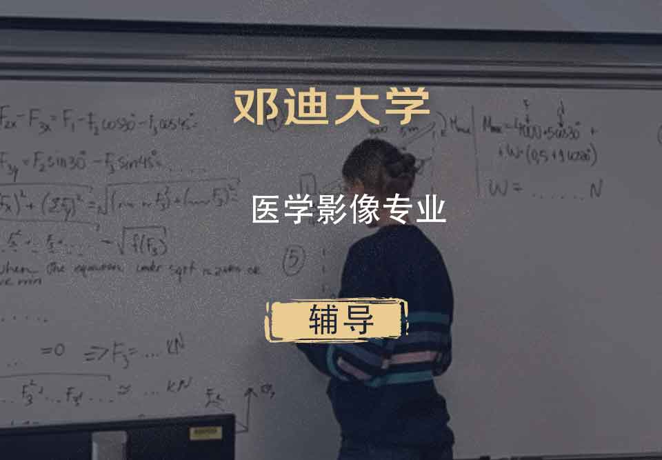 邓迪大学UoD医学影像辅导