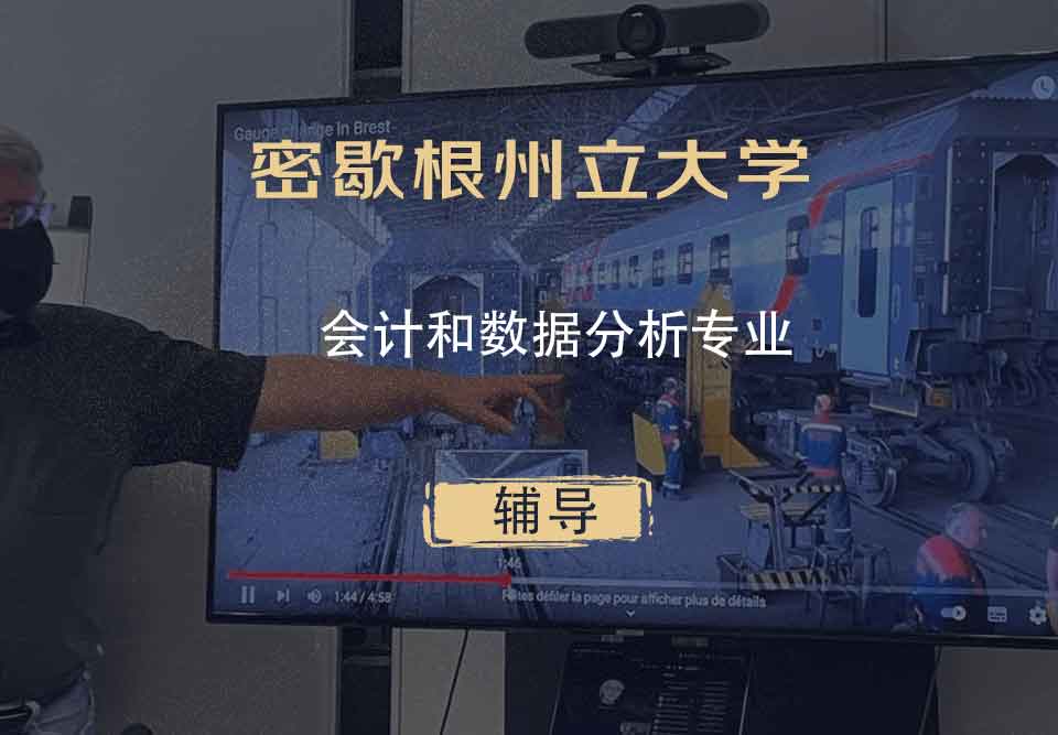 密歇根州立大学MSU会计和数据分析辅导