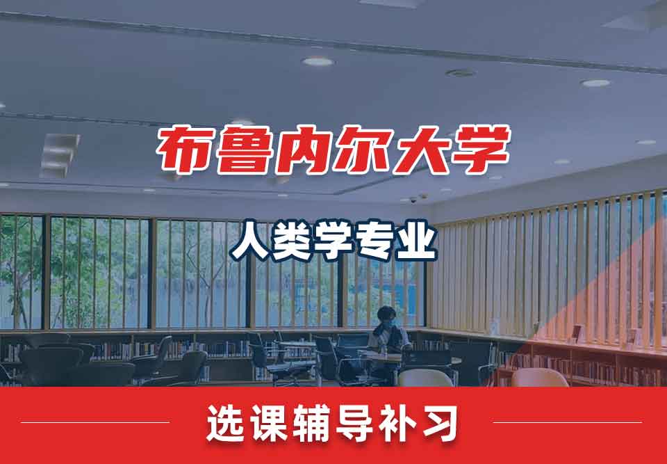 布鲁内尔大学Brunel人类学选课辅导补习补课