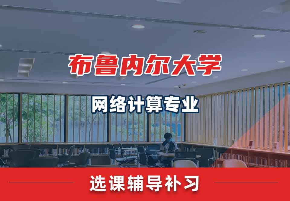 布鲁内尔大学Brunel网络计算选课辅导补习补课