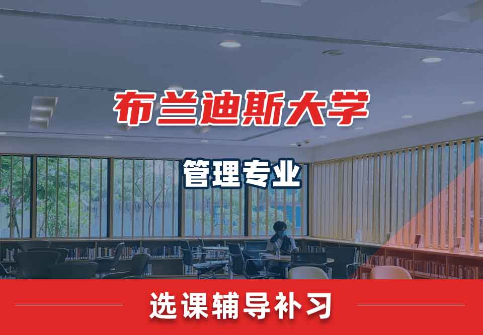 布兰迪斯大学管理选课辅导补习补课