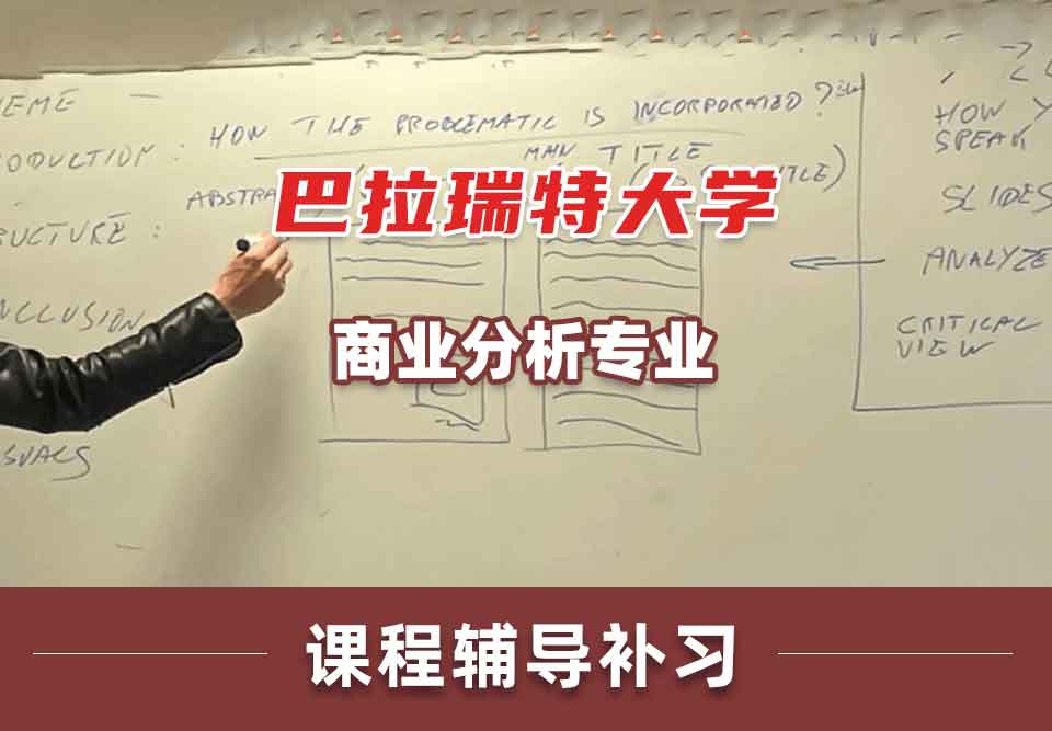 巴拉瑞特大学UB商业分析课程辅导补习补课