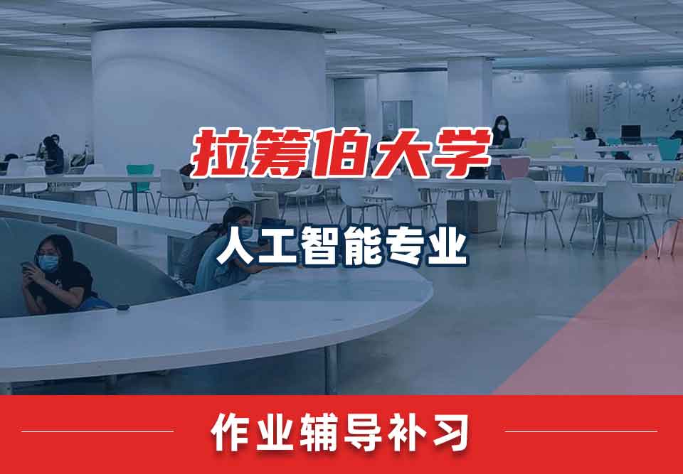 拉筹伯大学LTU人工智能作业辅导补习补课