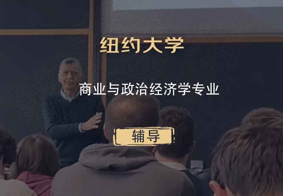 纽约大学NYU商业与政治经济学辅导