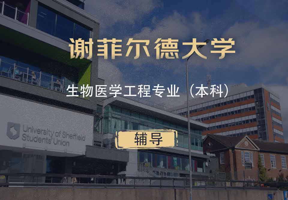 谢菲生物医学工程BME本科辅导