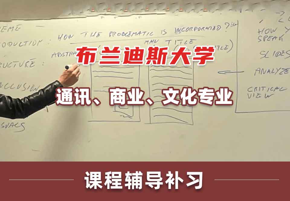 布兰迪斯大学通讯、商业、文化课程辅导补习补课