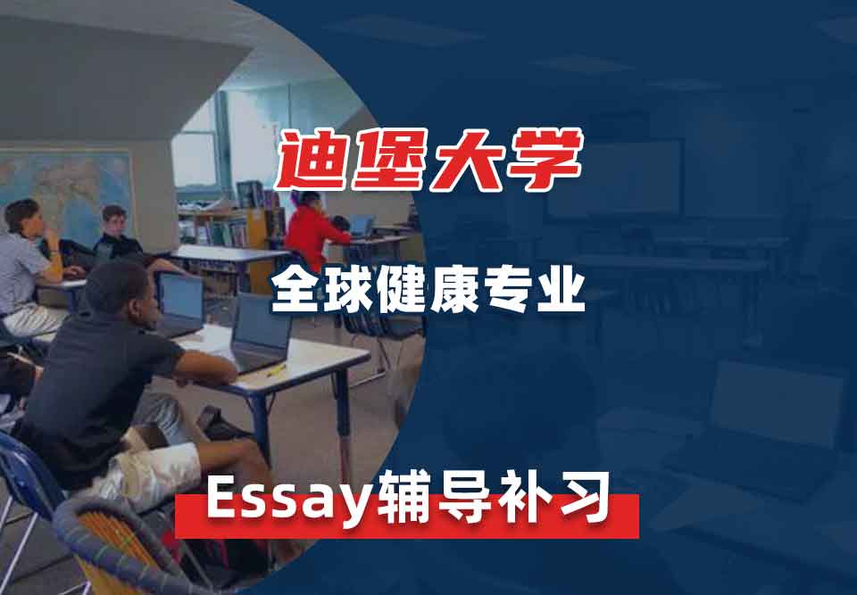 迪堡大学全球健康Essay辅导补习补课