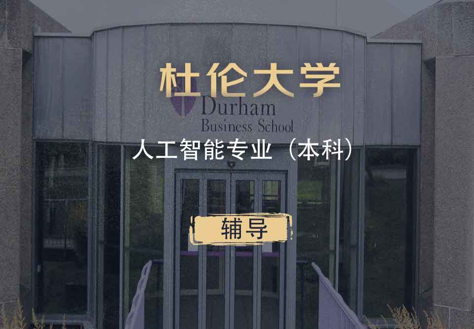 杜伦人工智能AI本科辅导
