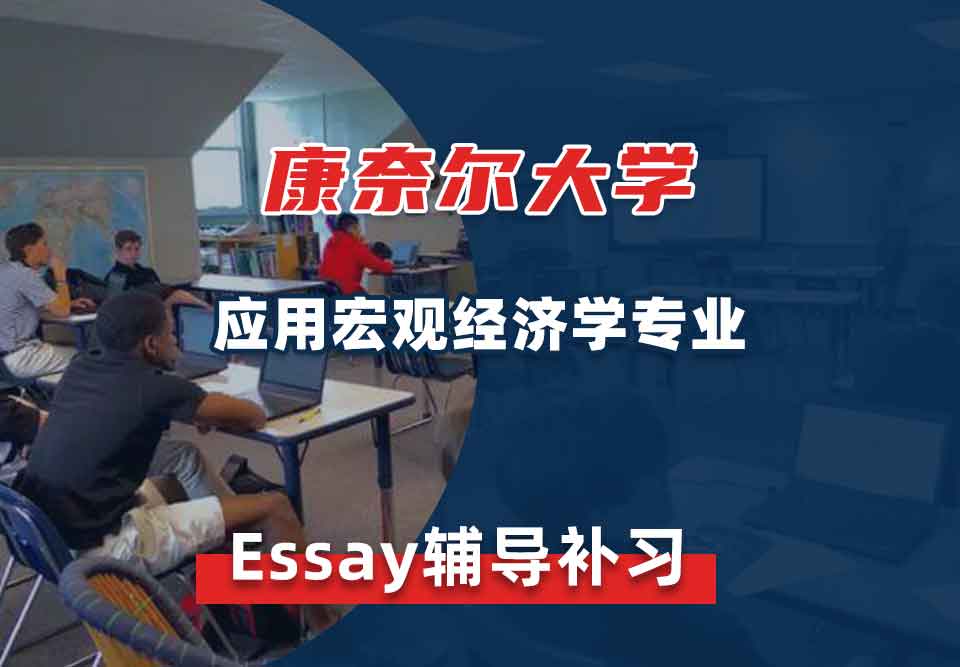 康奈尔大学CU应用宏观经济学Essay辅导补习补课