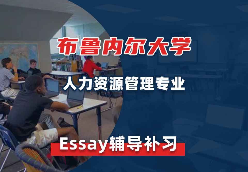 布鲁内尔大学Brunel人力资源管理Essay辅导补习补课
