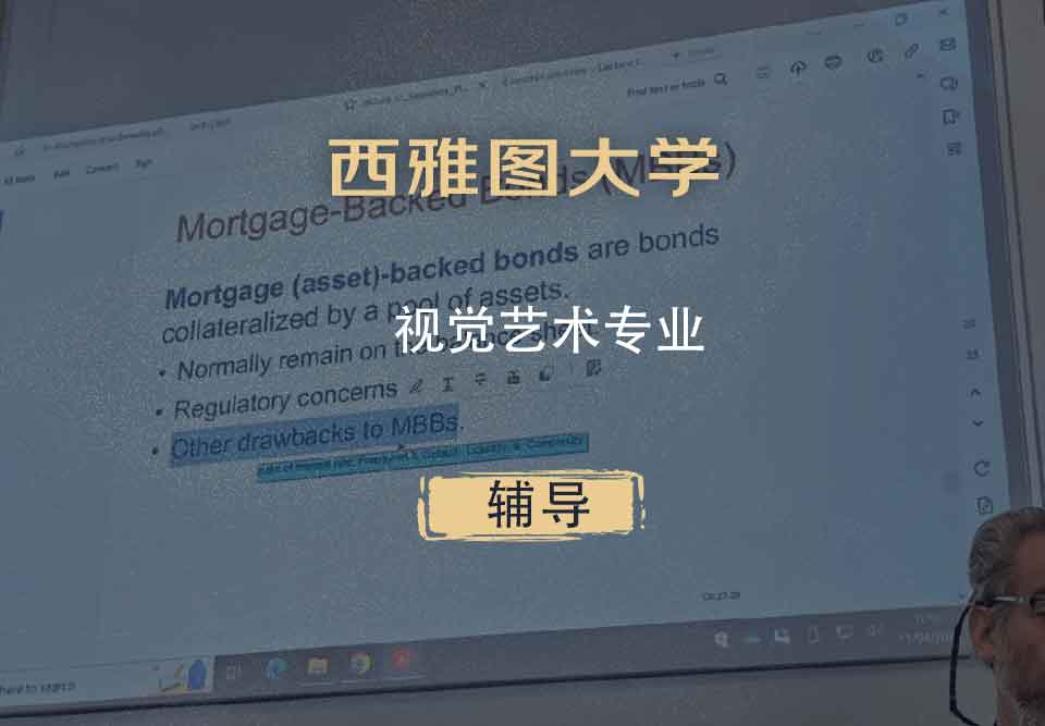 西雅图大学SU视觉艺术辅导