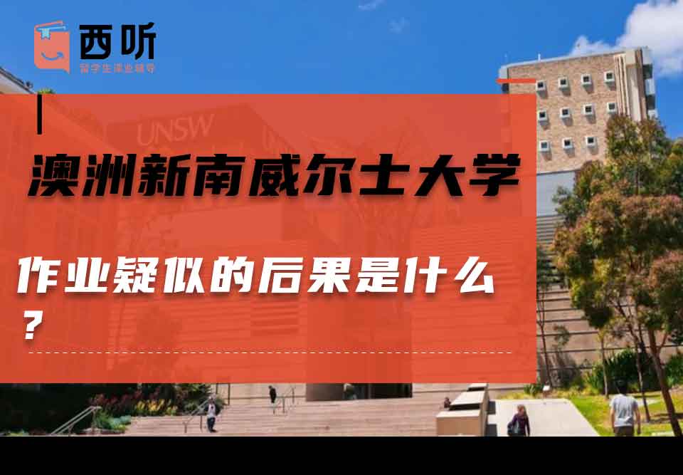 澳洲新南威尔士大学作业疑似的后果是什么?