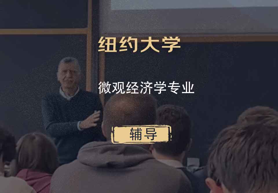 纽约大学NYU微观经济学辅导