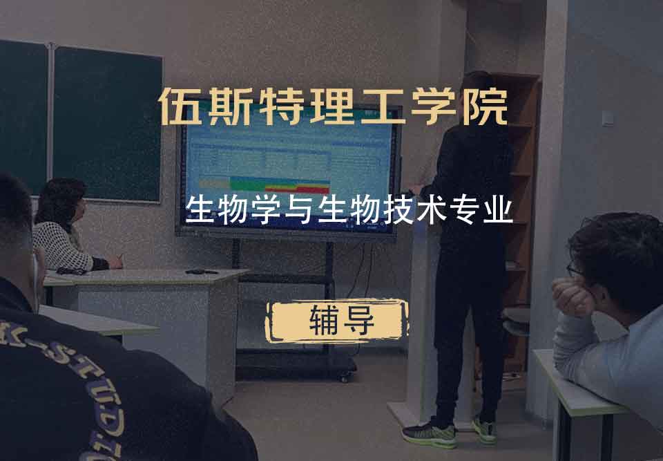 伍斯特理工学院WPI生物学与生物技术辅导