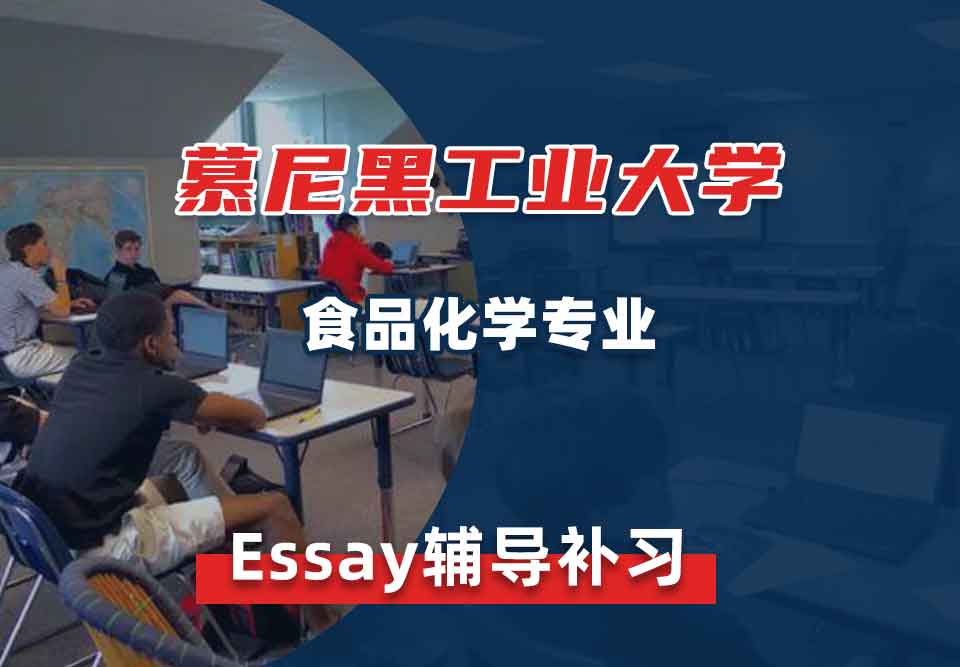 慕尼黑工业大学TUM食品化学essay辅导补习补课