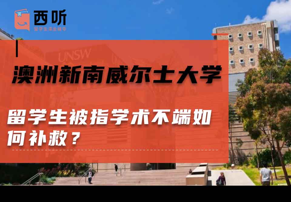 澳洲新南威尔士大学留学生被指学术不端如何补救？