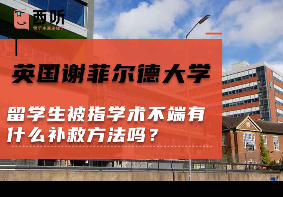 英国谢菲尔德大学留学生被指学术不端有什么补救方法吗？
