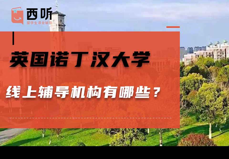 英国诺丁汉大学线上辅导机构有哪些？