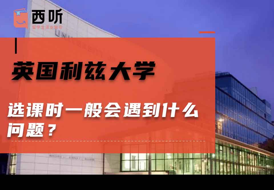 英国利兹大学选课时一般会遇到什么问题？