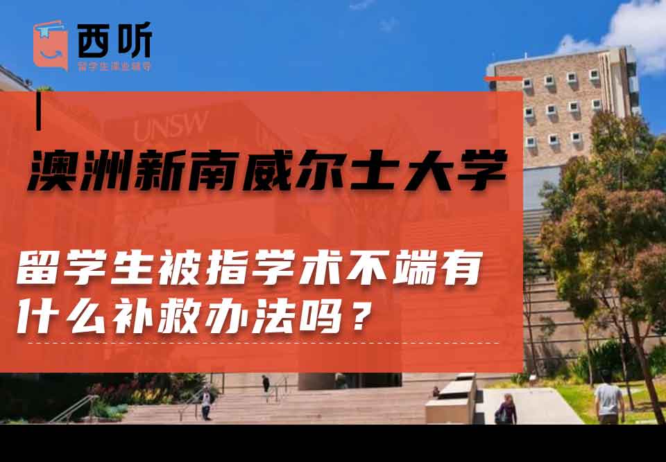 澳洲新南威尔士大学留学生被指学术不端有什么补救办法吗？