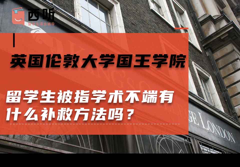 英国伦敦大学国王学院留学生被指学术不端有什么补救方法吗？