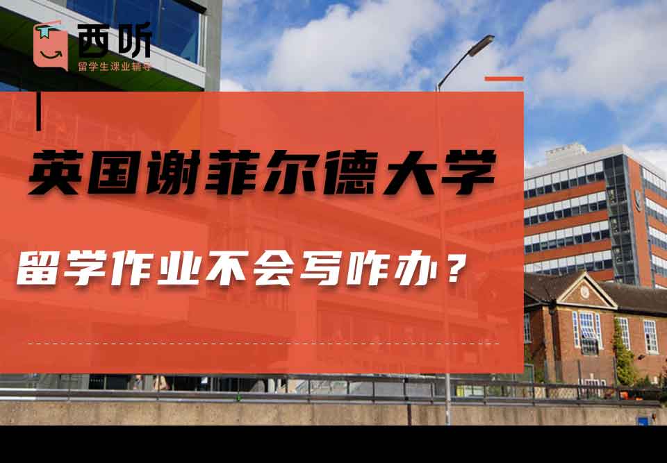 英国谢菲尔德大学留学作业不会写咋办？