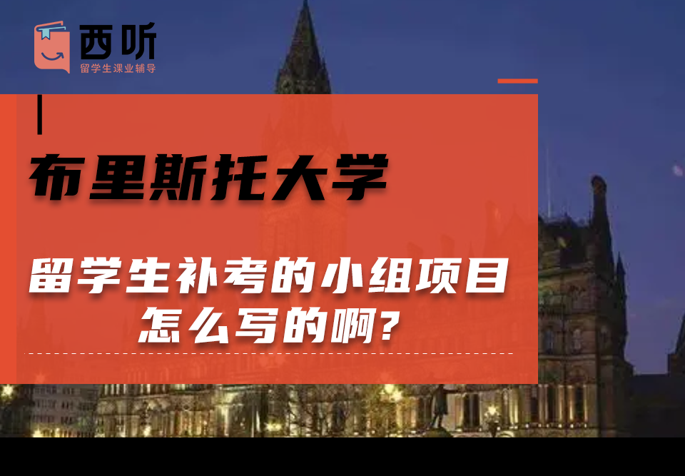 布里斯托大学留学生补考的小组项目怎么写的啊?