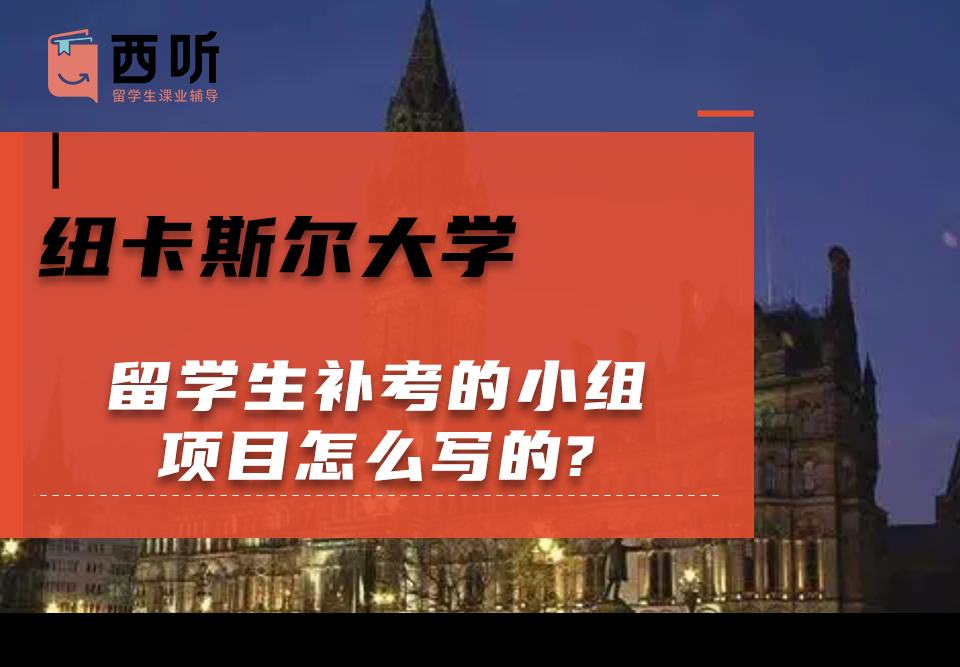 纽卡斯尔大学留学生补考的小组项目怎么写的?