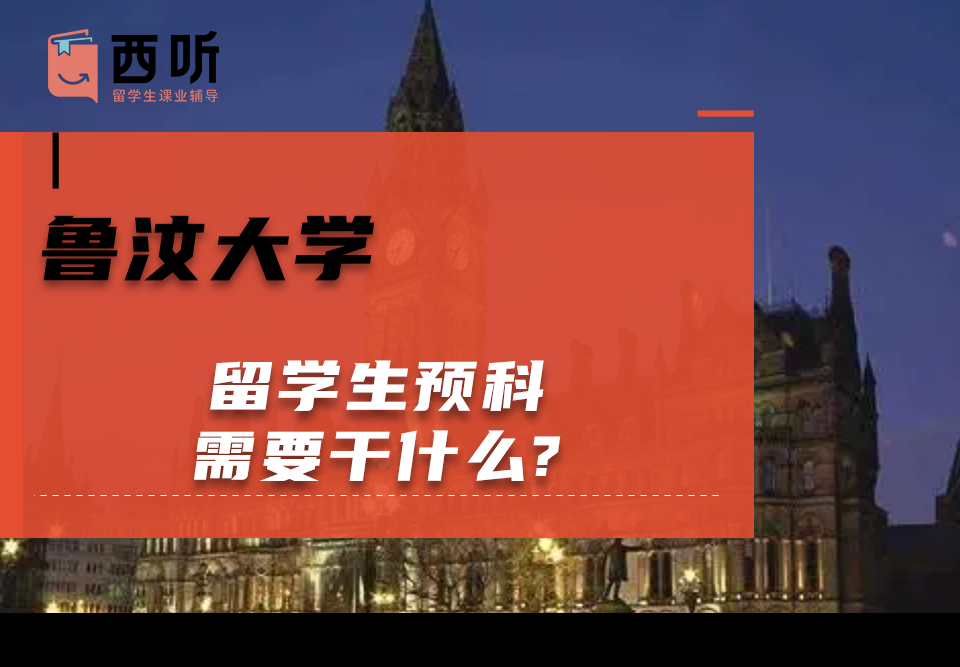 鲁汶大学留学生预科需要干什么?