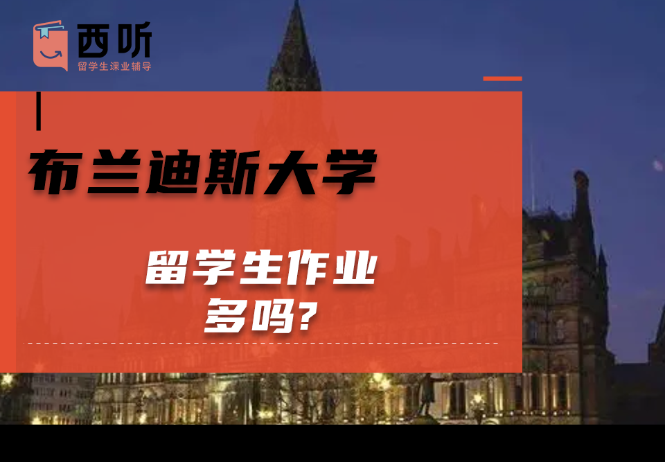 布兰迪斯大学留学生作业多吗?