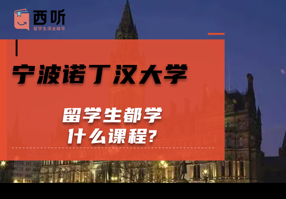宁波诺丁汉大学留学生都学什么课程?