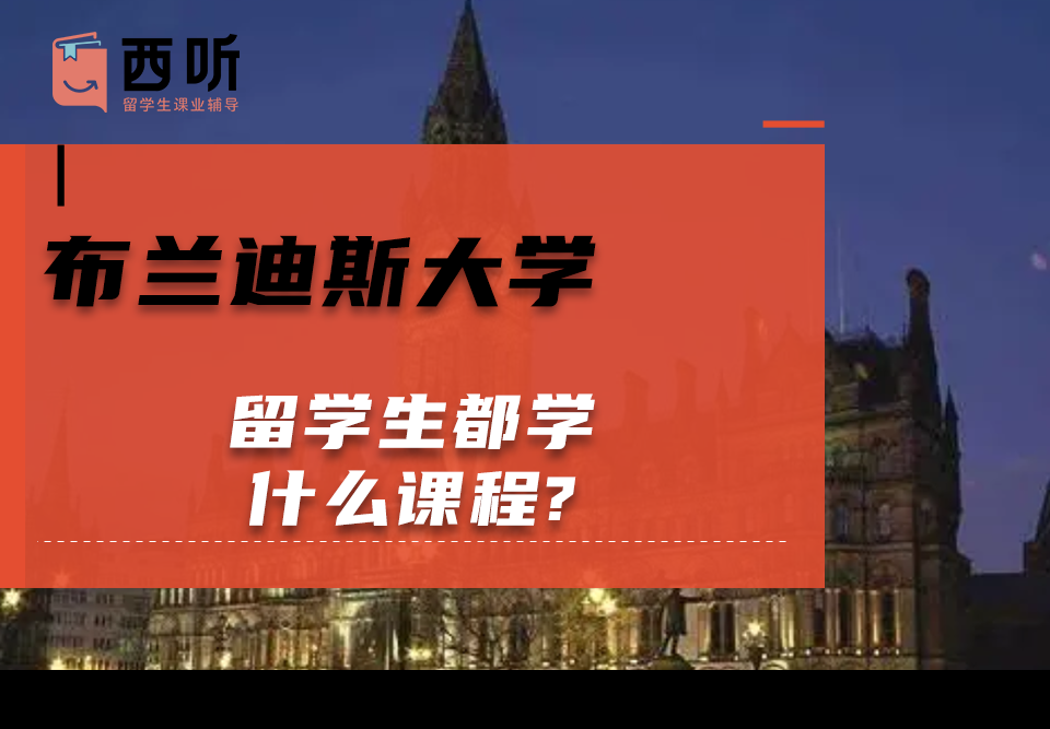 布兰迪斯大学留学生都学什么课程?