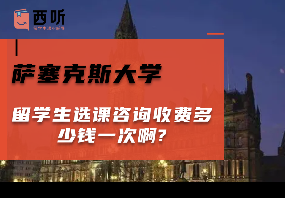 萨塞克斯大学留学生选课咨询收费多少钱一次啊?